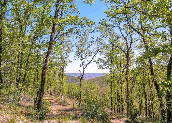 L'aubepine By Interhome Loupiac (Lot)